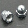 Carbon Steel Hex Nylon Iron Cap Nut (CZ091)